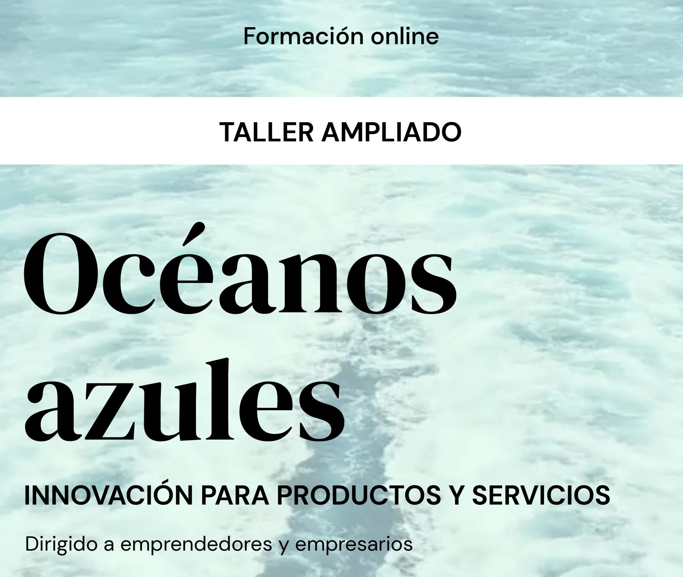 Taller de Océanos Azules Ampliado: Innovación para Productos y Servicios